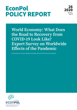 What Does the Road to Recovery from COVID-19 Look Like? Expert Survey on Worldwide Effects of the Pandemic