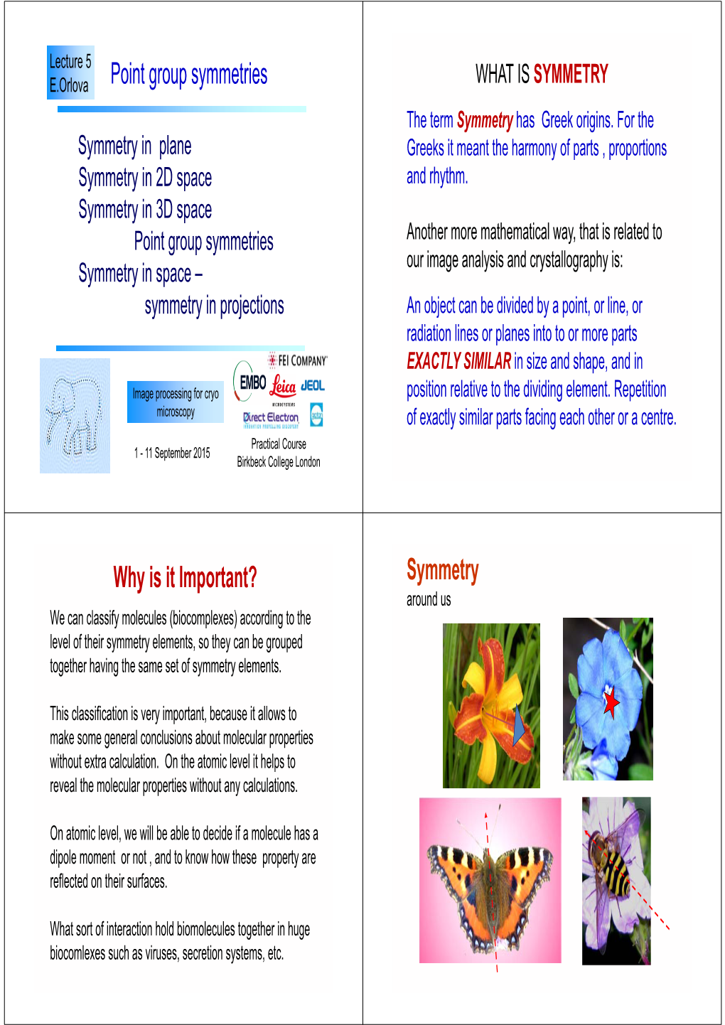 Point Group Symmetries Why Is It Important?