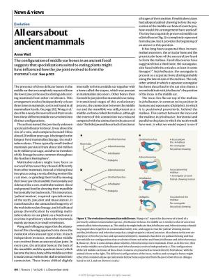 Ears About Ancient Mammals