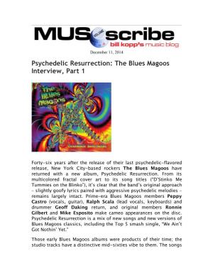MUSO Scribe Interview