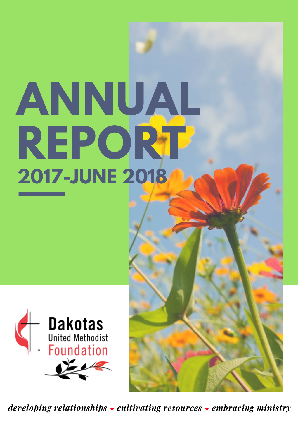 2017-June 2018 Annual Report