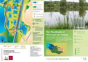 The Marshlands of Méricourt-Sur-Somme