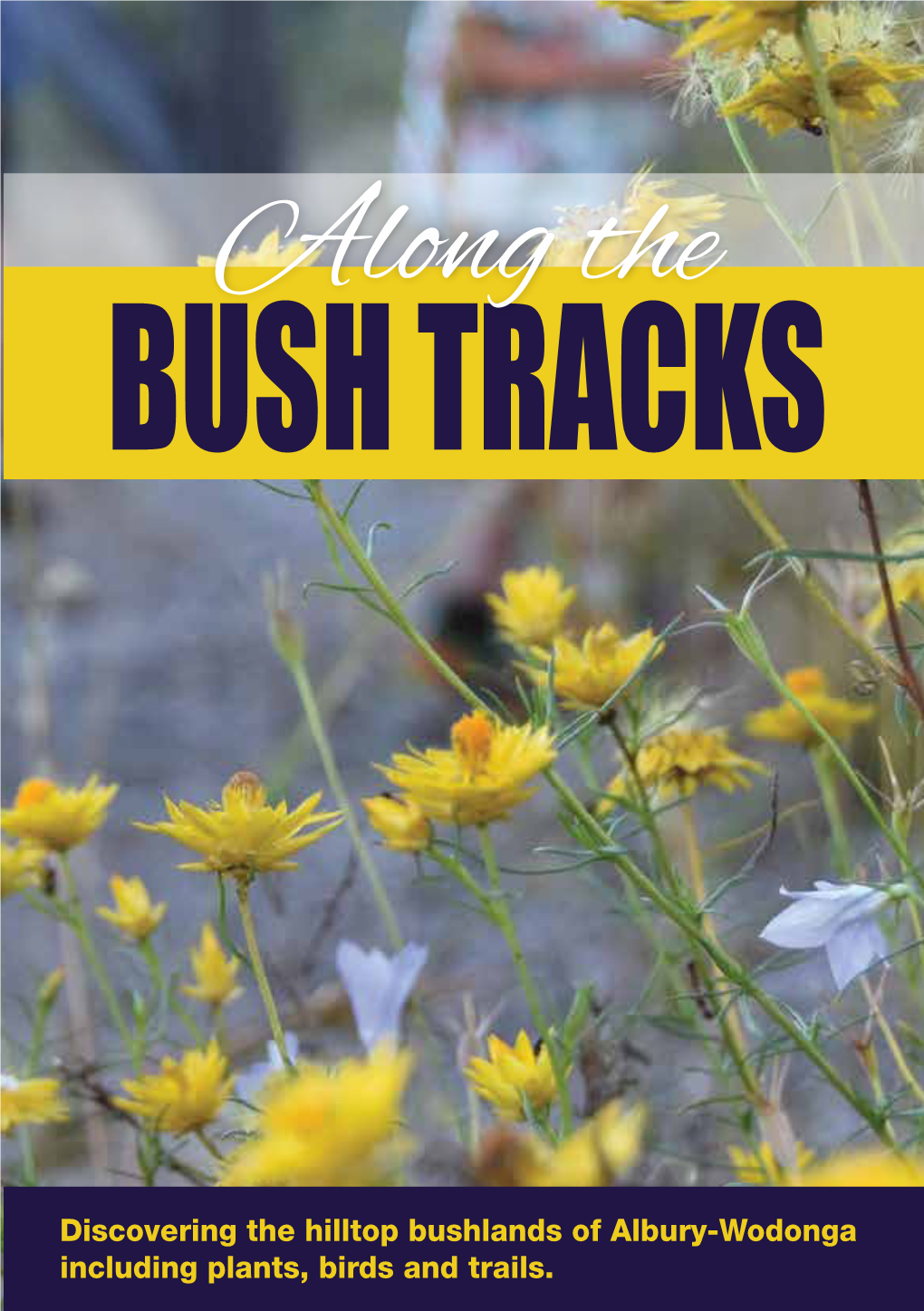 Along the BUSH TRACKS