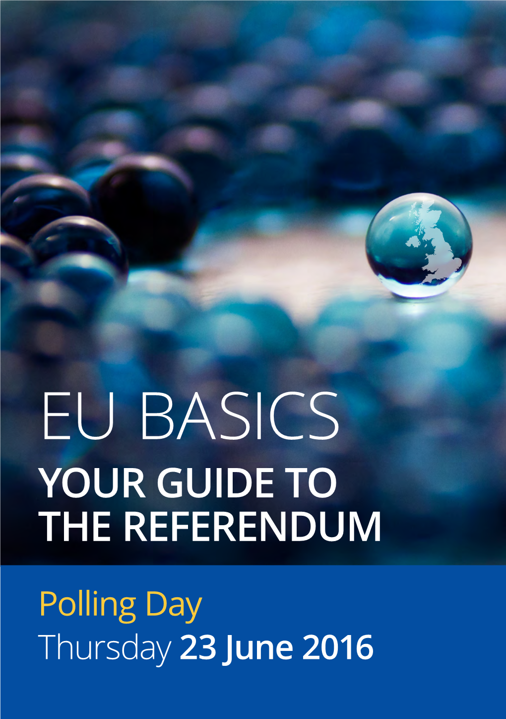 EU Basics Your Guide to the Referendum