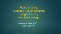 Homo Erectus: a Bigger, Faster, Smarter, Longer Lasting Hominin Lineage