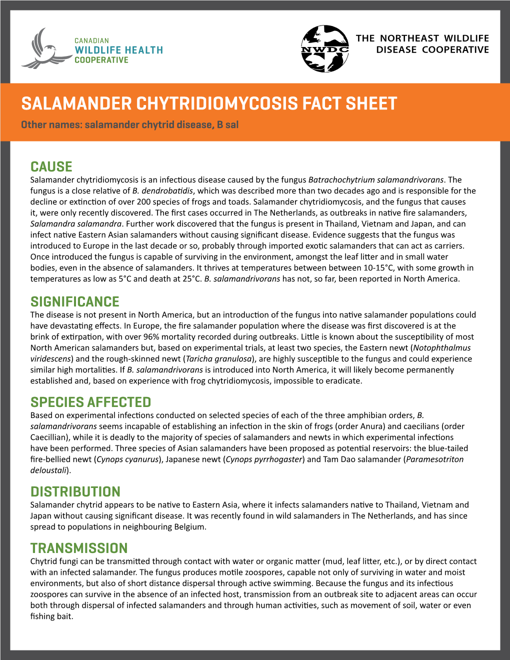 SALAMANDER CHYTRIDIOMYCOSIS FACT SHEET Other Names: Salamander Chytrid Disease, B Sal