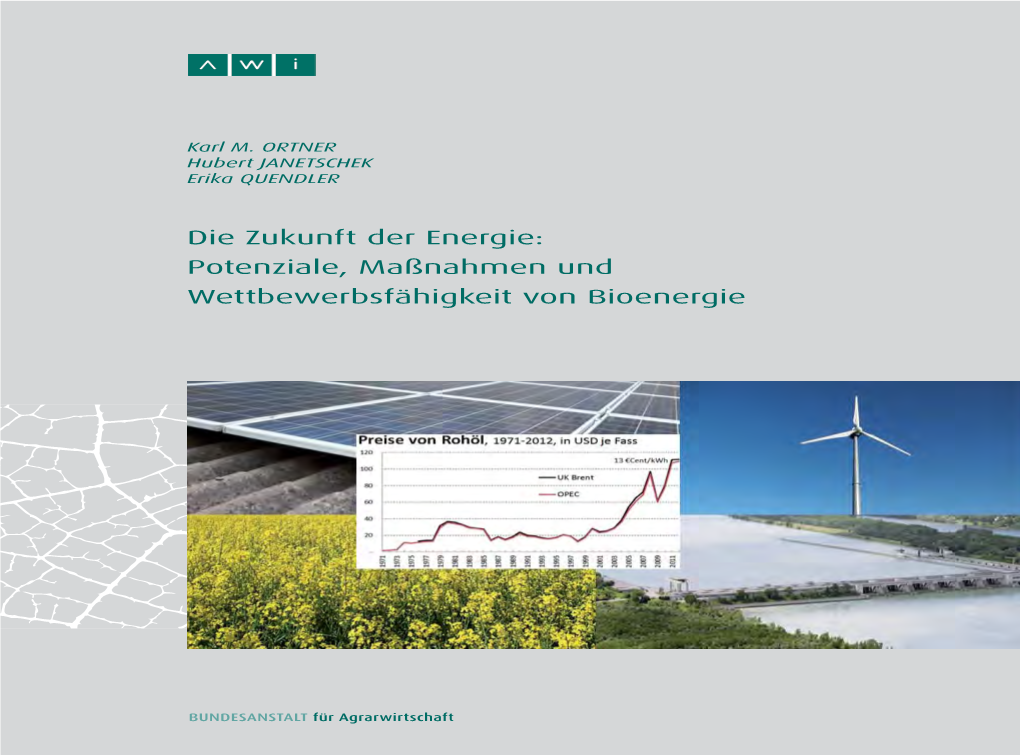 Potenziale, Maßnahmen Und Wettbewerbsfähigkeit Von Bioenergie