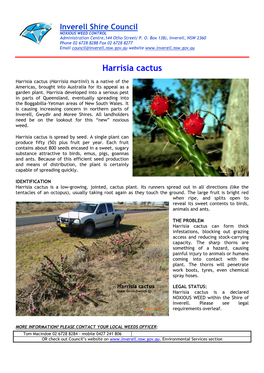 Weeds-Inverell-Harrisia-Cactus