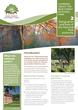 Designation and Role of the National Park Authority Autumn Colour Near the Rufus Stone