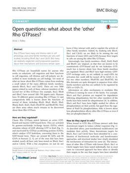 Open Questions: What About the 'Other' Rho Gtpases?