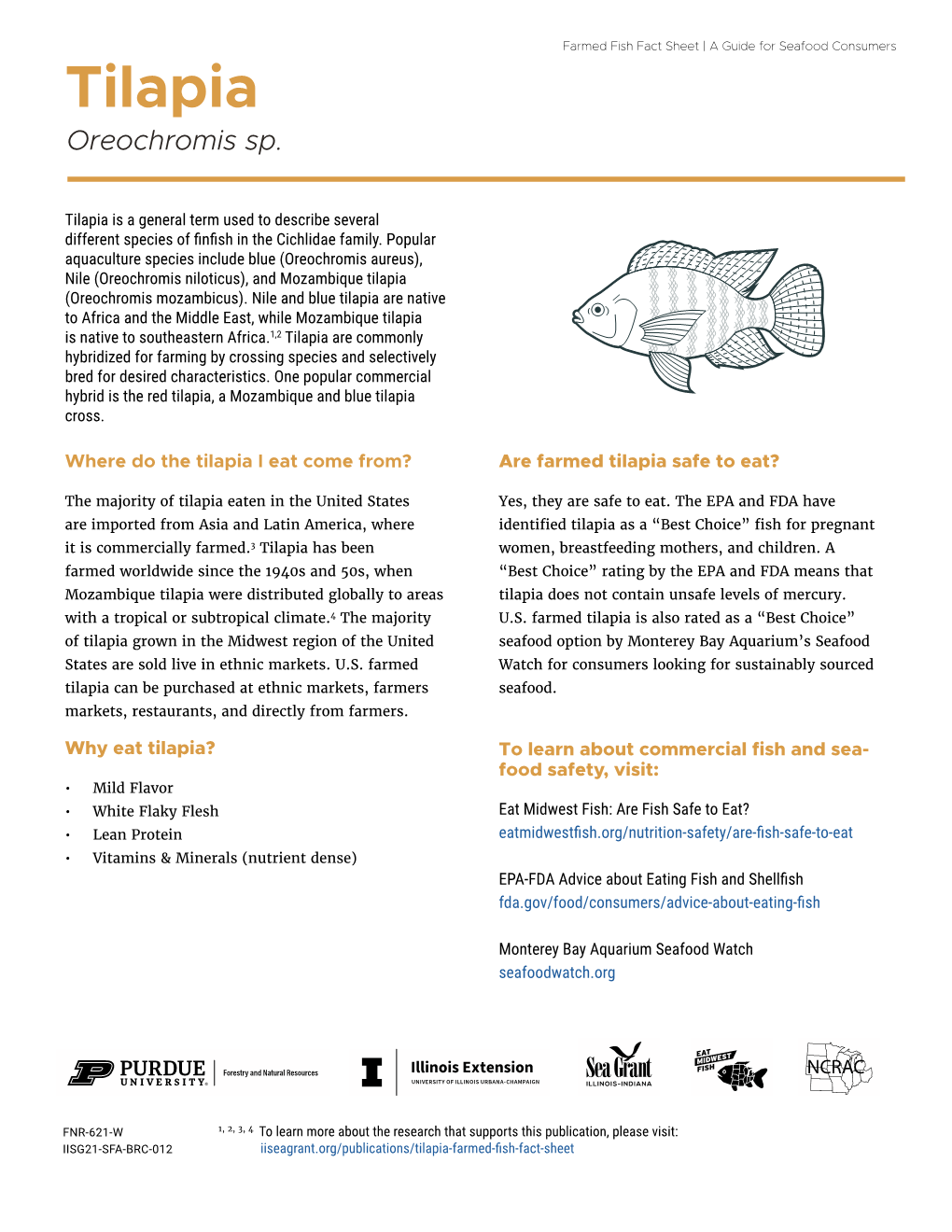 Tilapia Farmed Fish Fact Sheet | a Guide for Seafood Consumers