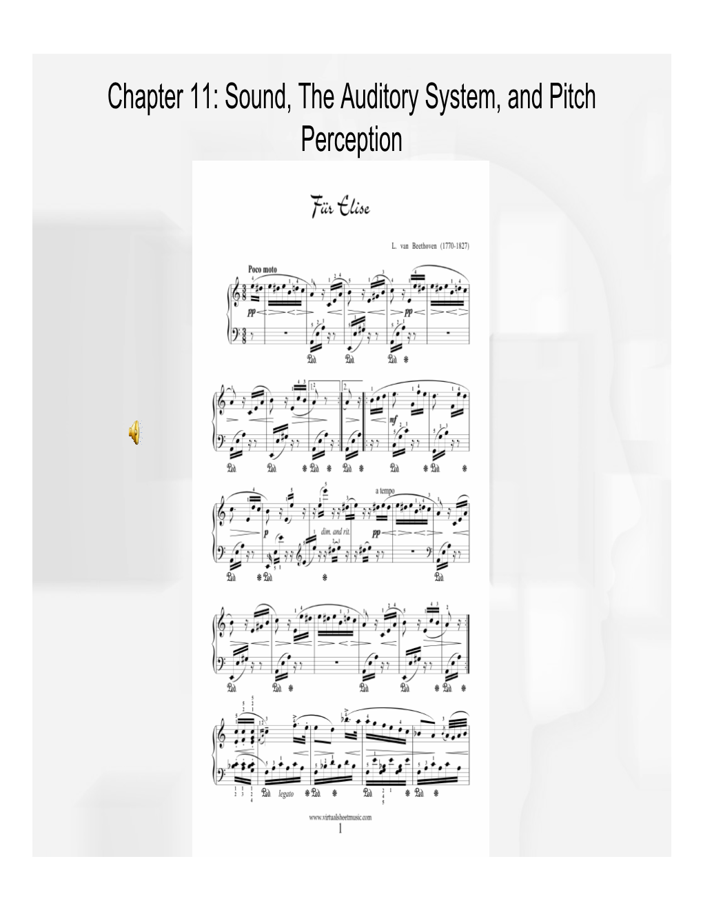 Chapter 11: Sound, the Auditory System, and Pitch Perception Overview of Questions