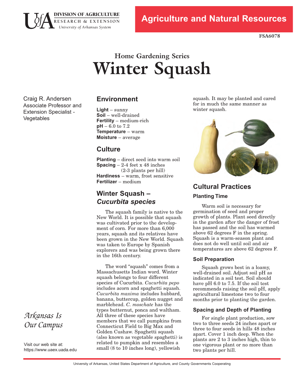 Winter Squash