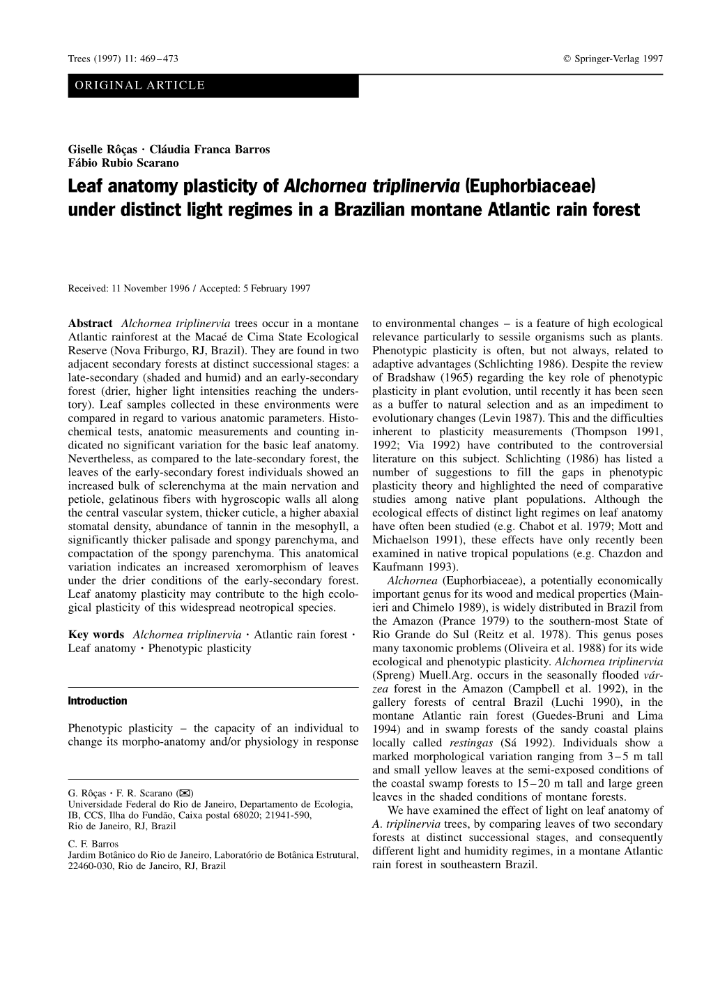 Leaf Anatomy Plasticity of Alchornea Triplinervia (Euphorbiaceae) Under Distinct Light Regimes in a Brazilian Montane Atlantic Rain Forest