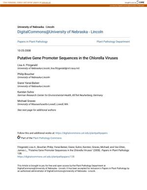 Putative Gene Promoter Sequences in the Chlorella Viruses