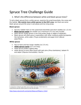 Spruce Tree Challenge Guide 1