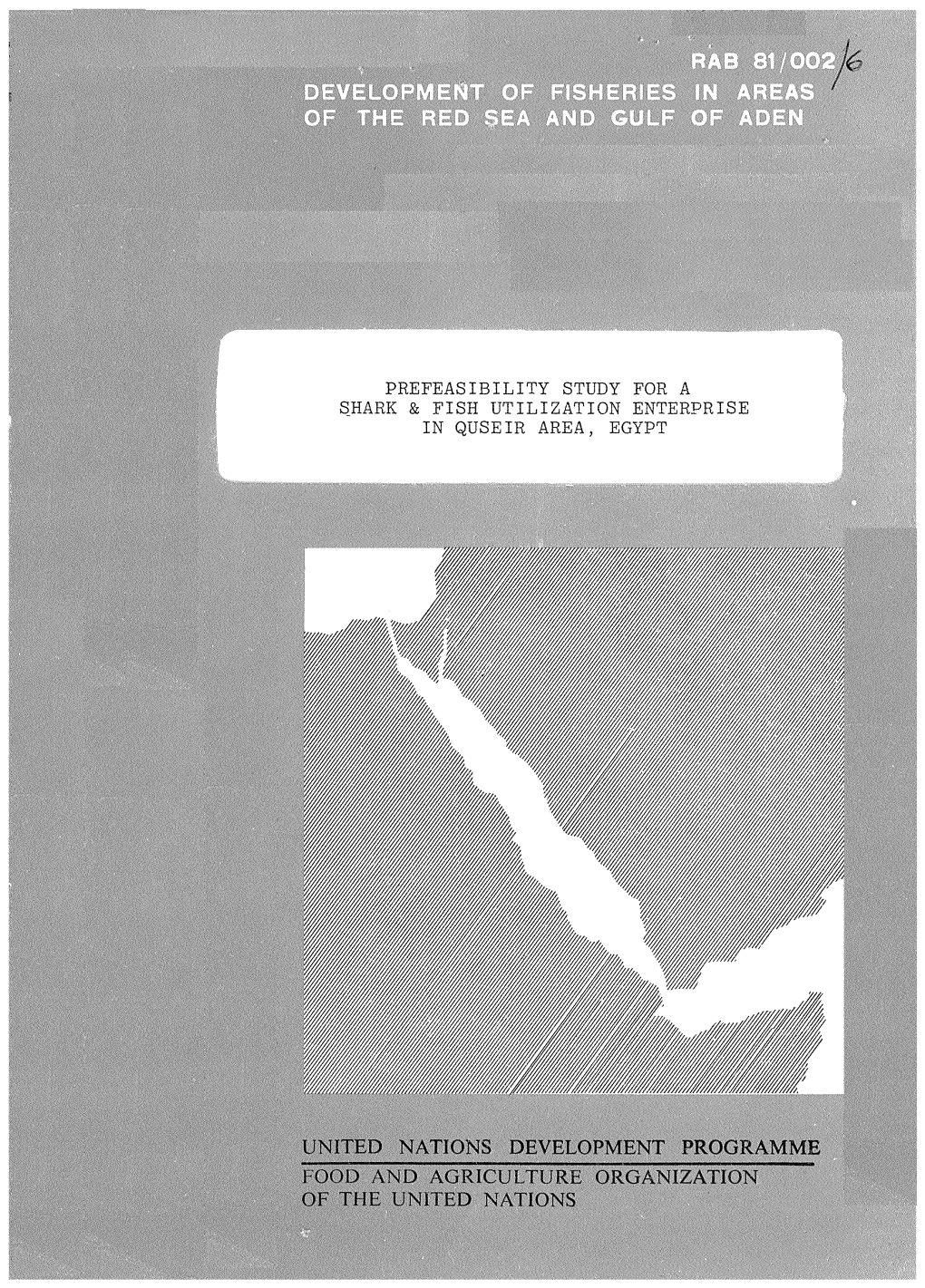 Feasibility Study for a Shark & Fish Utilization Enterprise in Quseir Area, Egypt