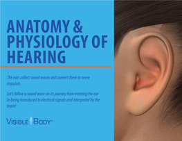 Anatomy & Physiology of Hearing