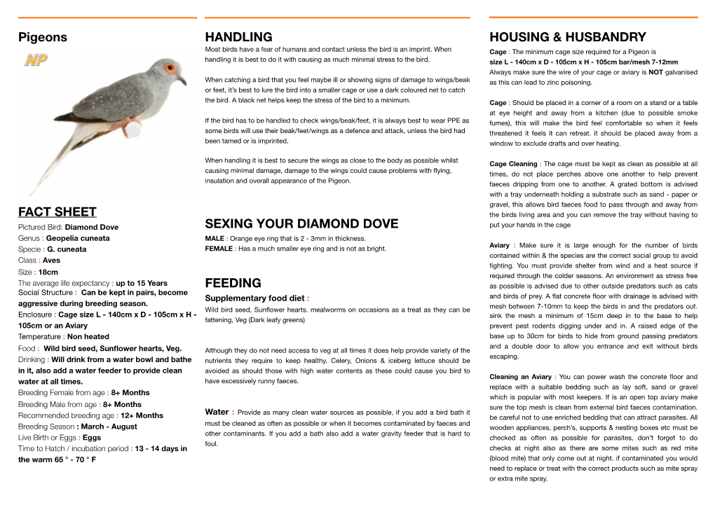 Pigeons FACT SHEET HANDLING SEXING YOUR DIAMOND DOVE FEEDING HOUSING & HUSBANDRY