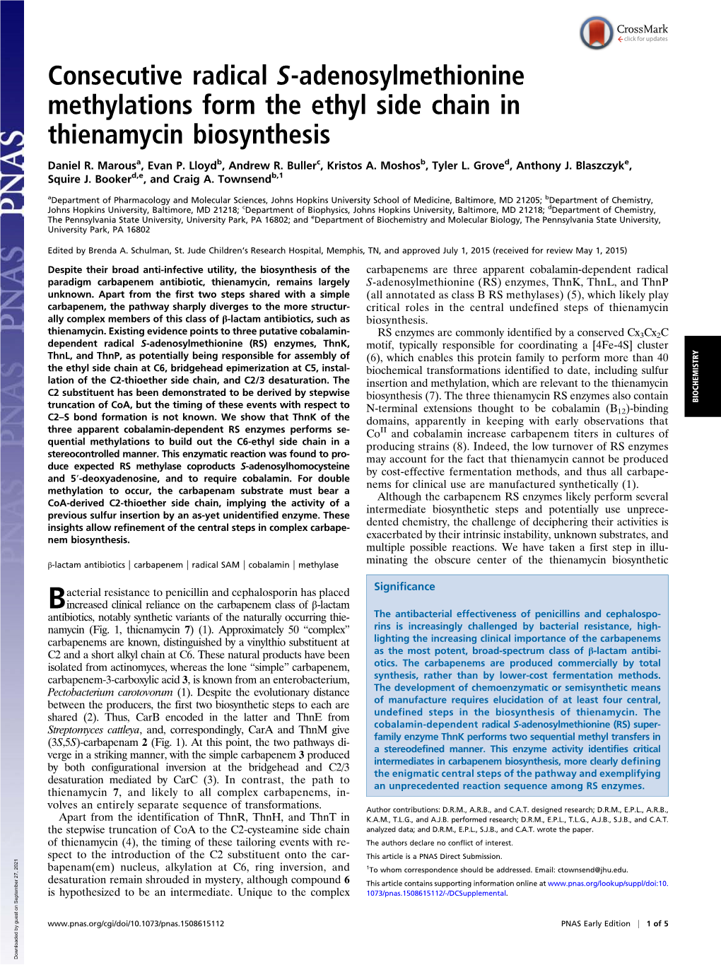 Consecutive Radical S-Adenosylmethionine Methylations Form the Ethyl Side Chain in Thienamycin Biosynthesis