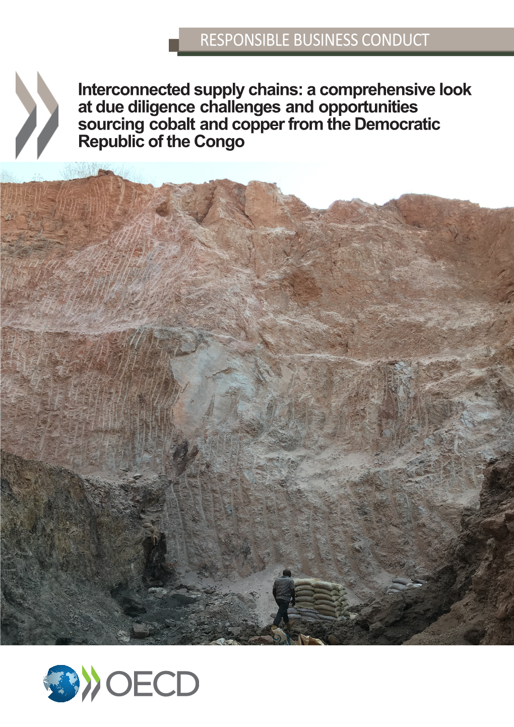 Interconnected Supply Chains: a Comprehensive Look at Due Diligence Challenges and Opportunities Sourcing Cobalt and Copper from the Democratic Republic of the Congo