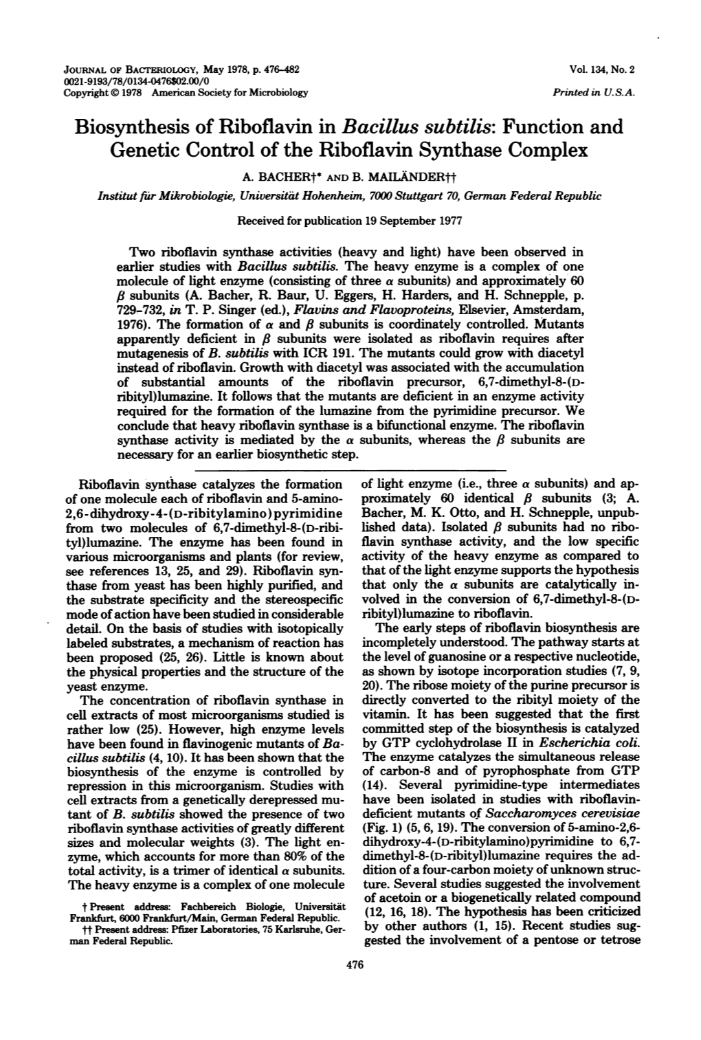 Biosynthesis of Riboflavin in Bacillus Subtilis: Function and Genetic Control of the Riboflavin Synthase Complex A