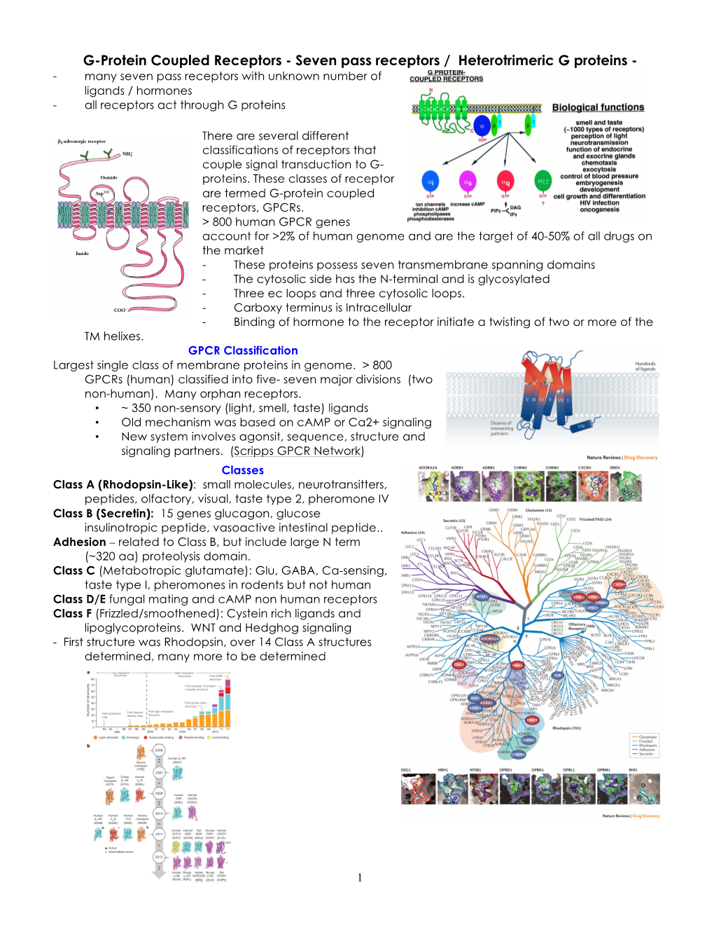 GPCR and G Proteins