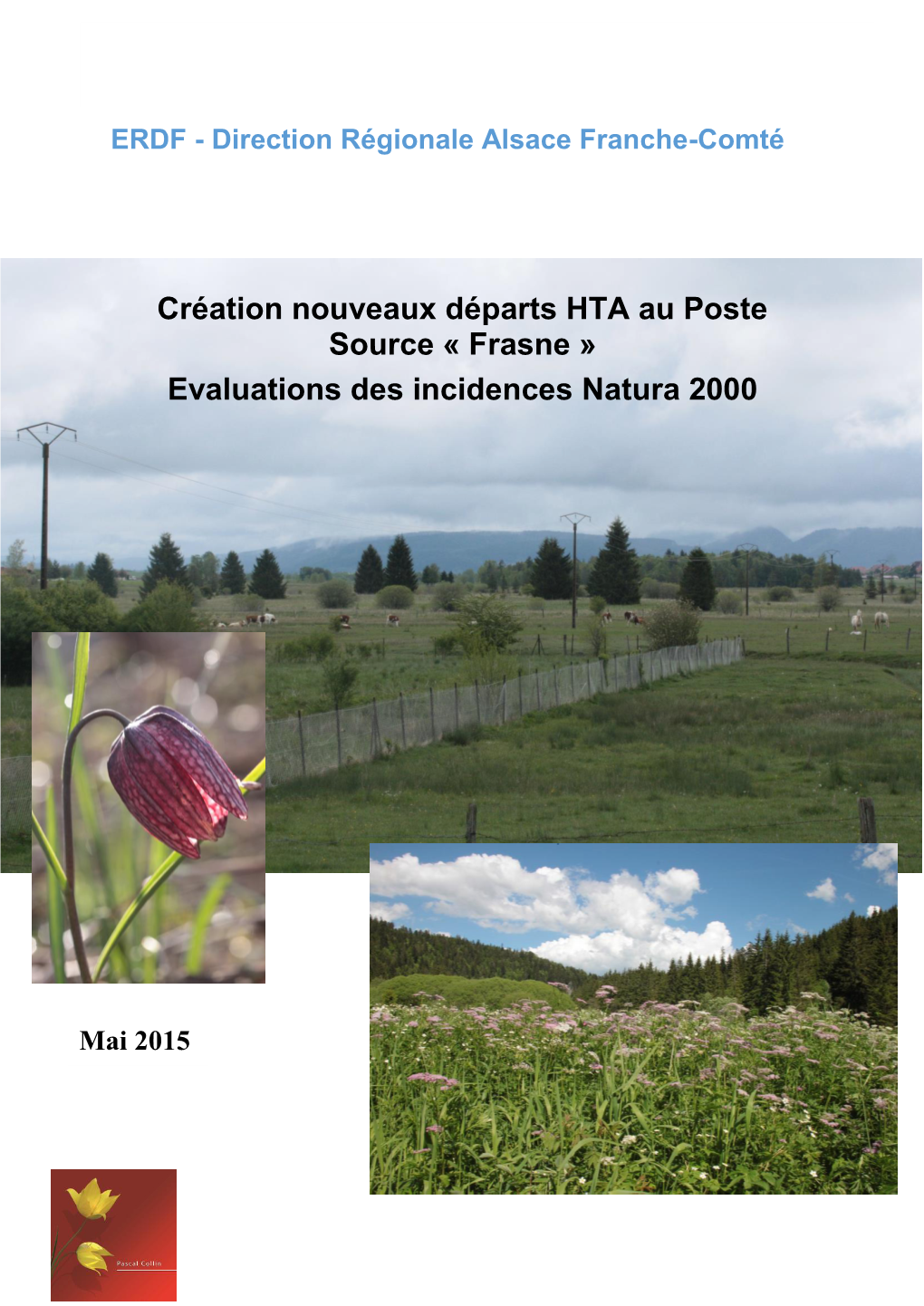Frasne », Évaluations D’Incidences Natura 2000 - ERDF - Direction Régionale Alsace Franche-Comté – Mai 2015 Page 1