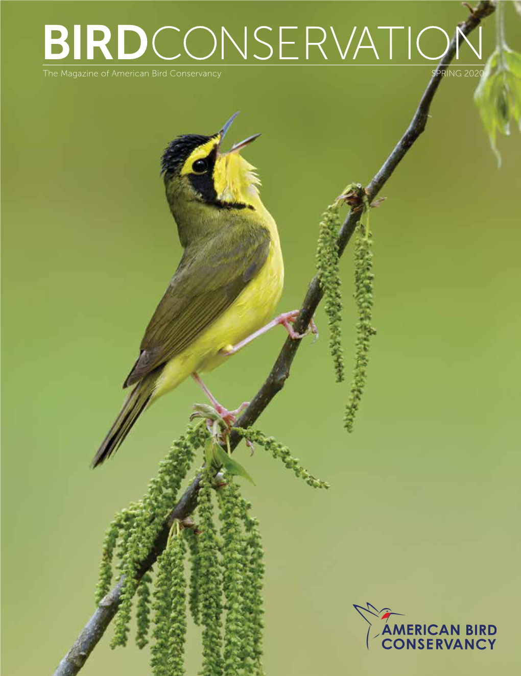 BIRDCONSERVATION the Magazine of American Bird Conservancy SPRING 2020 BIRD’S EYE VIEW