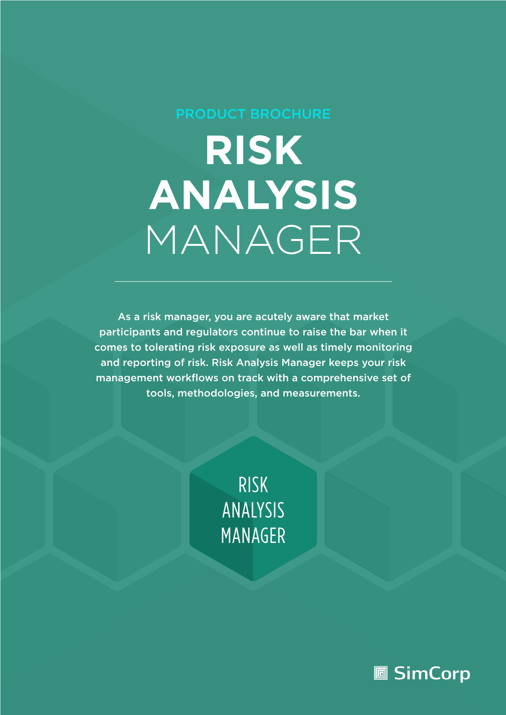 Risk Analysis Manager