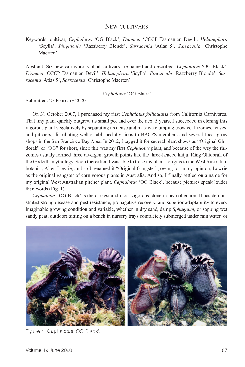 Carnivorous Plant Newsletter Vol 49 No 2 June 2020