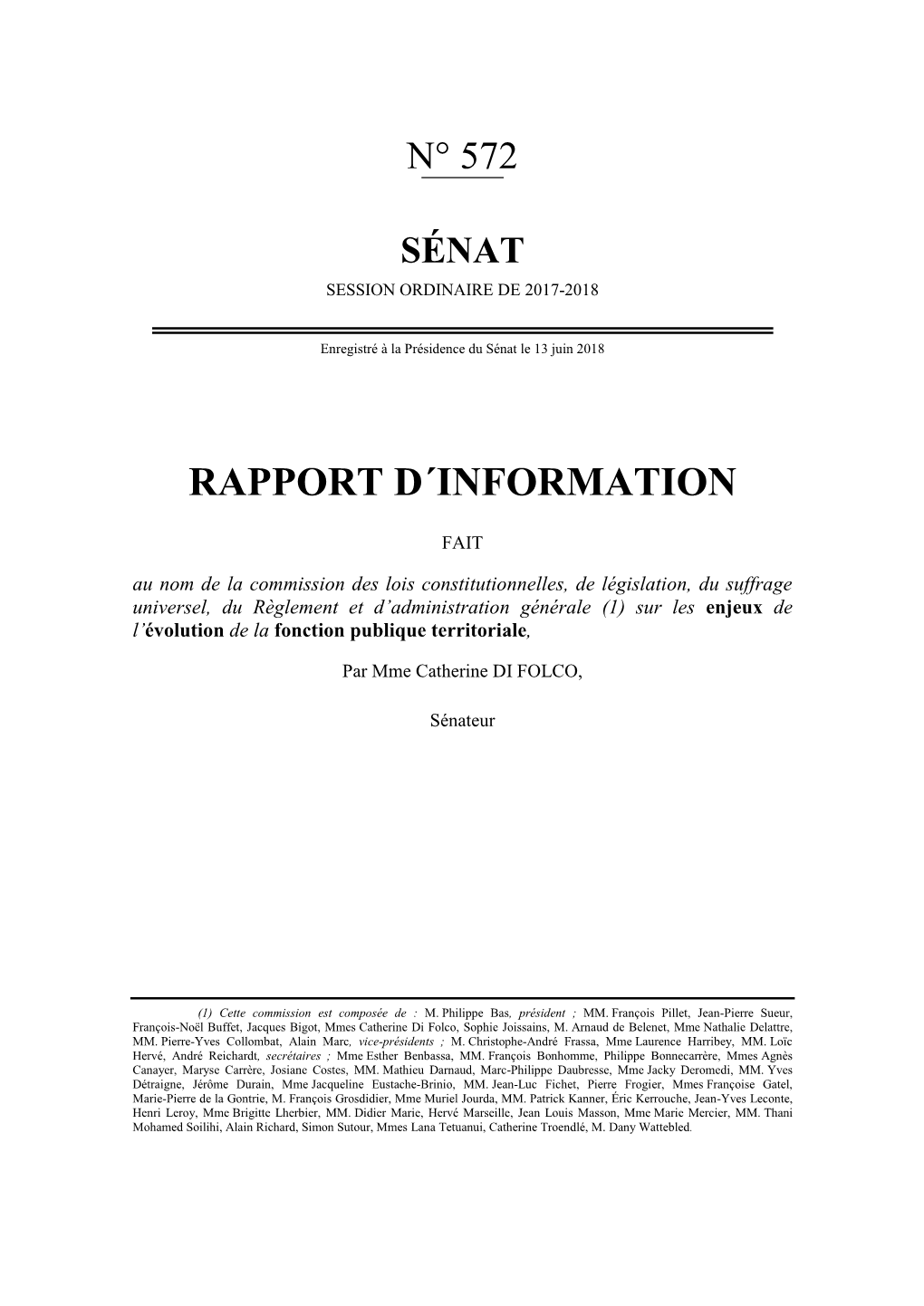 Rapport D´Information