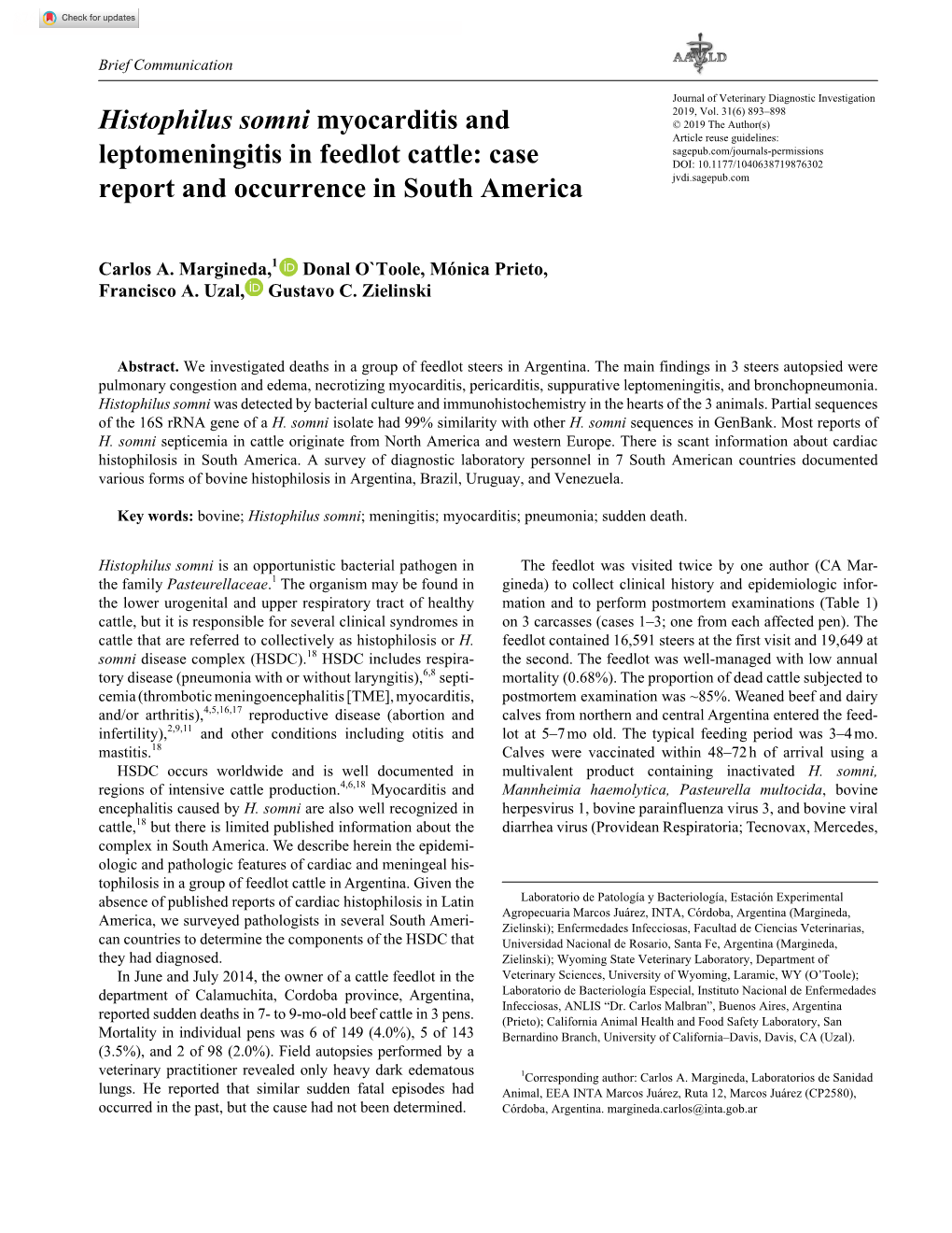 Histophilus Somni Myocarditis and Leptomeningitis in Feedlot Cattle