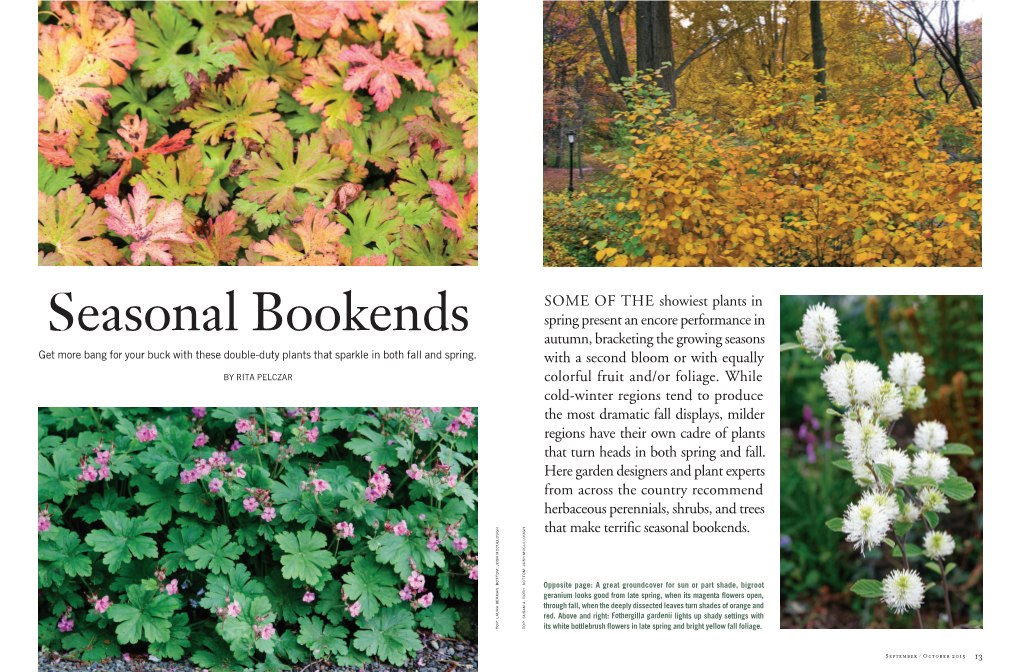 Seasonal Bookends Autumn, Bracketing the Growing Seasons Get More Bang for Your Buck with These Double-Duty Plants That Sparkle in Both Fall and Spring