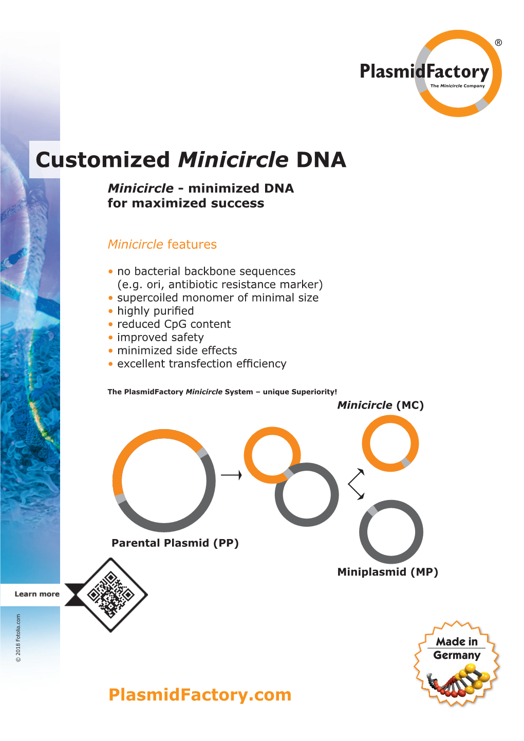 Customized Minicircle DNA Minicircle - Minimized DNA for Maximized Success