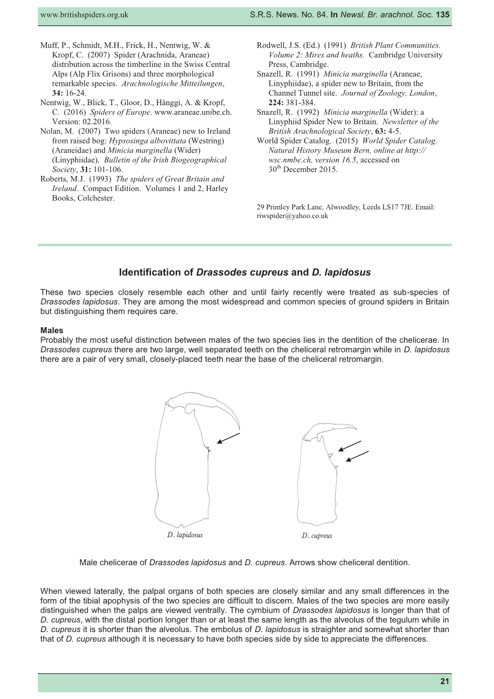 Identification of Drassodes Cupreus and D. Lapidosus.Pdf