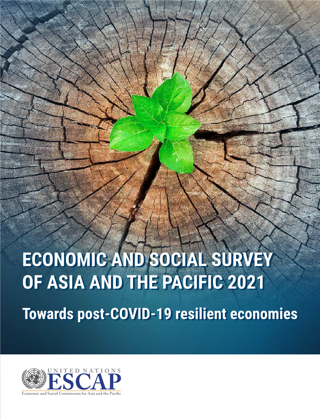 Survey 2021 Towards Post-COVID-19 Resilient Economies