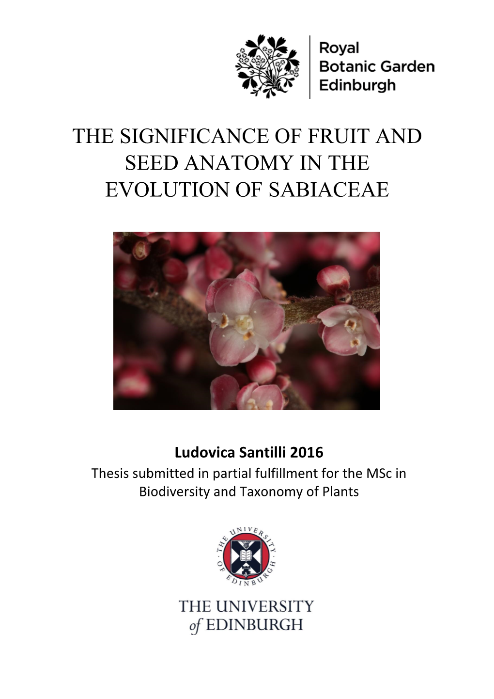 The Significance of Fruit and Seed Anatomy in the Evolution of Sabiaceae