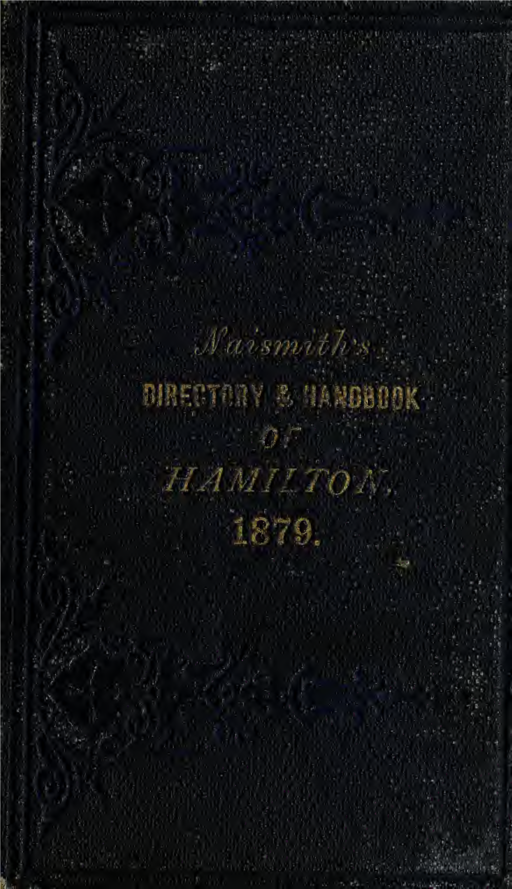 Naismith's Hamilton Directory for 1878-79