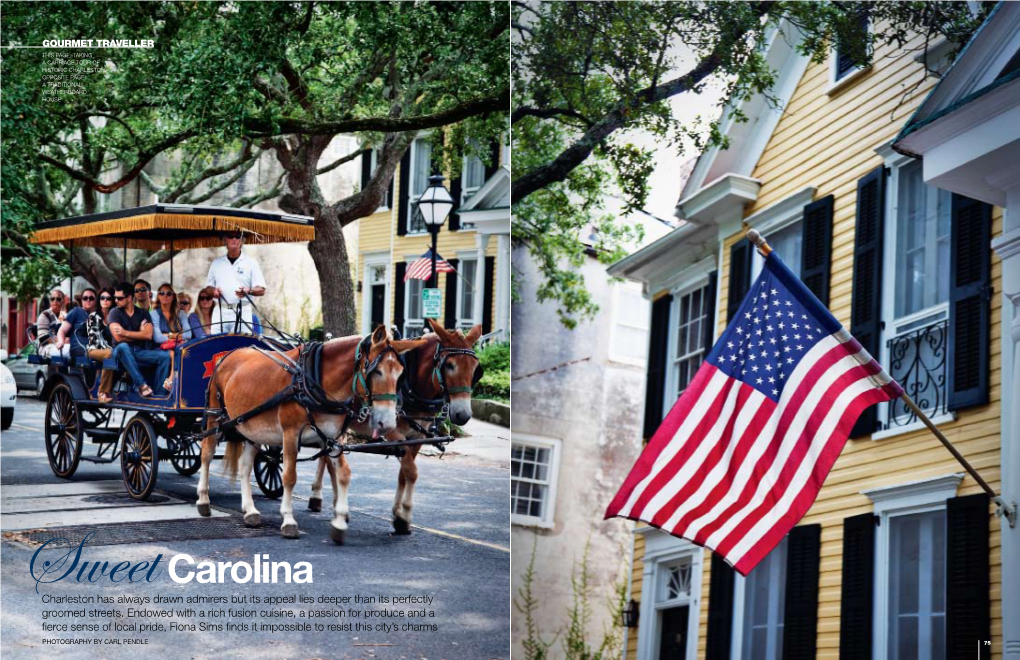 Carolina Sweetcharleston Has Always Drawn Admirers but Its Appeal Lies Deeper Than Its Perfectly Groomed Streets