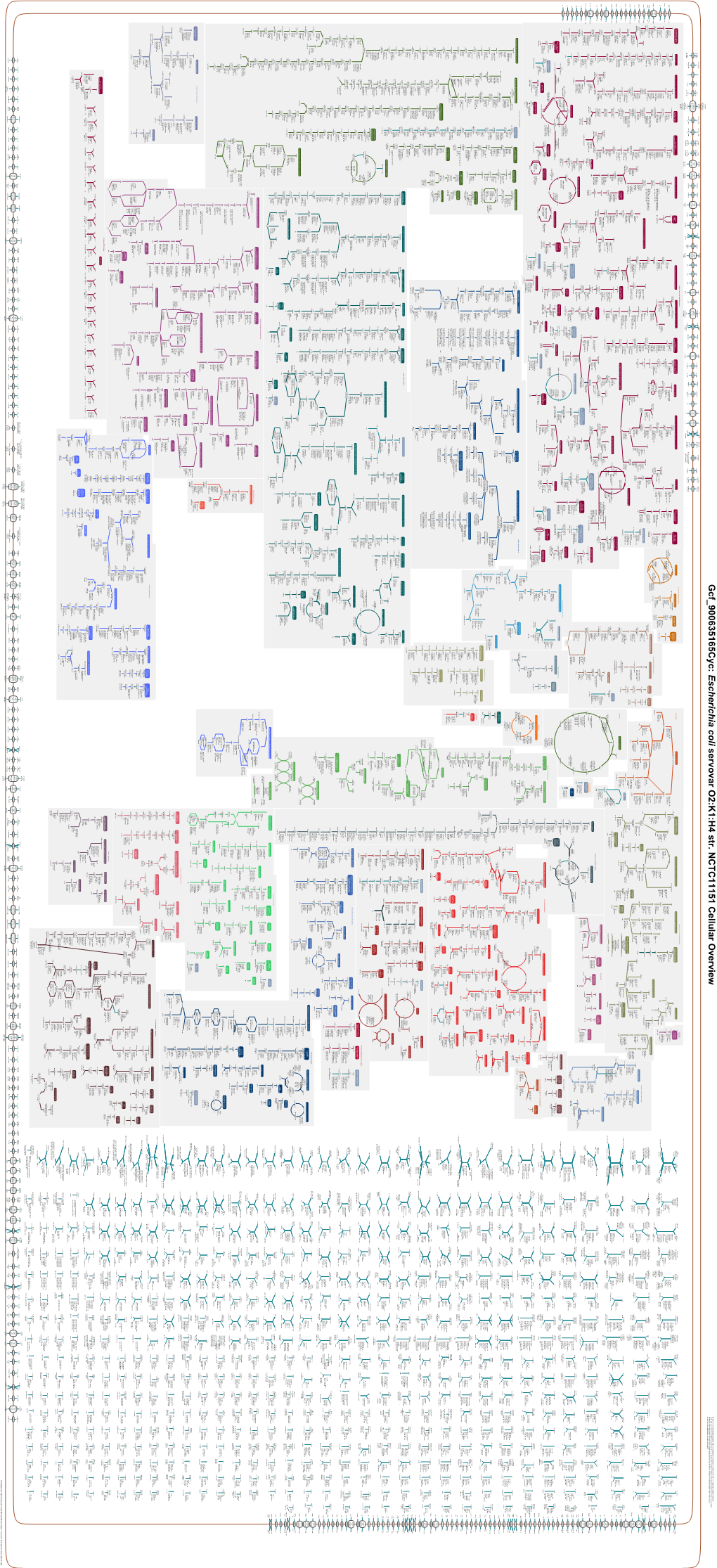 Generate Metabolic Map Poster