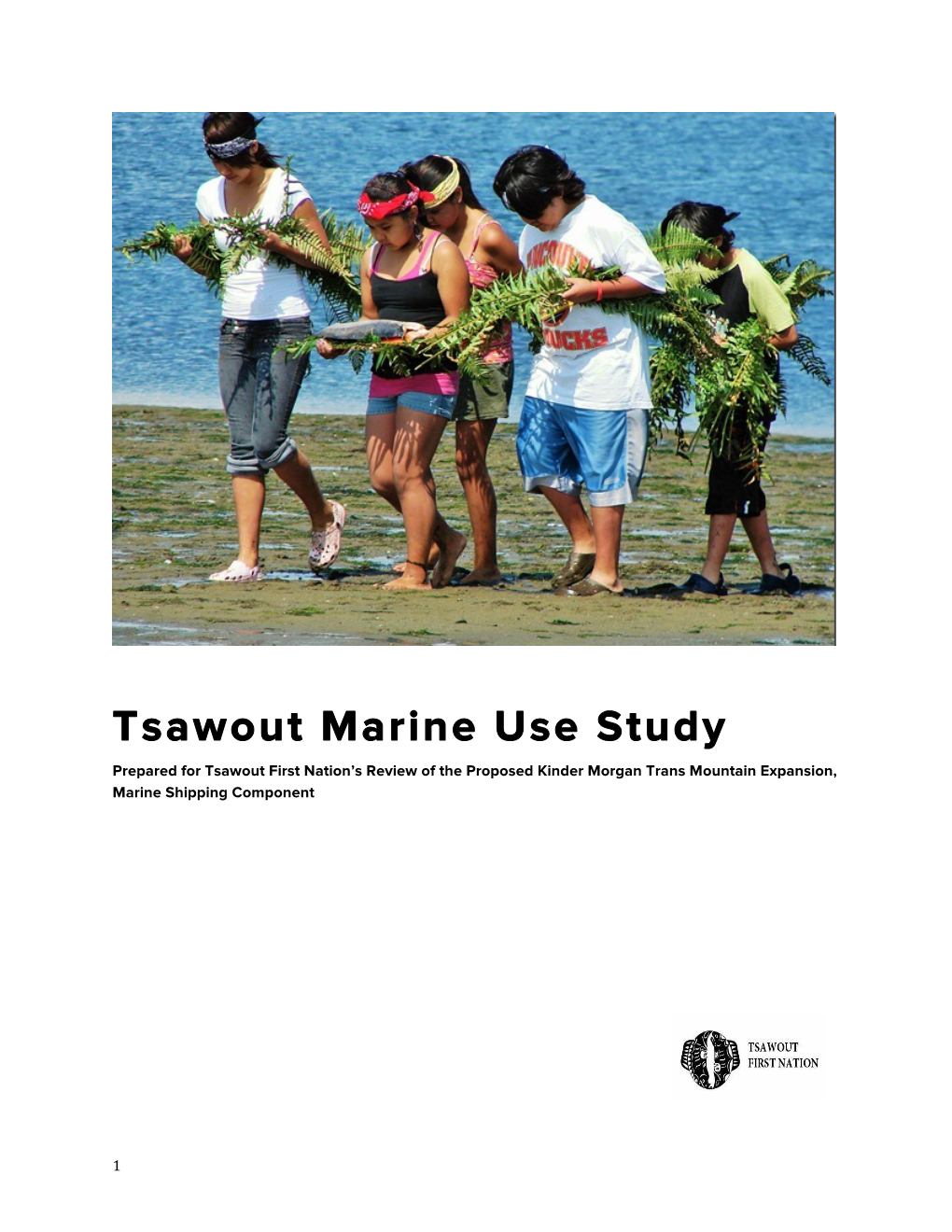 Tsawout Marine Use Study Prepared for Tsawout First Nation’S Review of the Proposed Kinder Morgan Trans Mountain Expansion, Marine Shipping Component