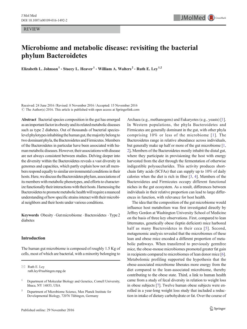 Revisiting the Bacterial Phylum Bacteroidetes