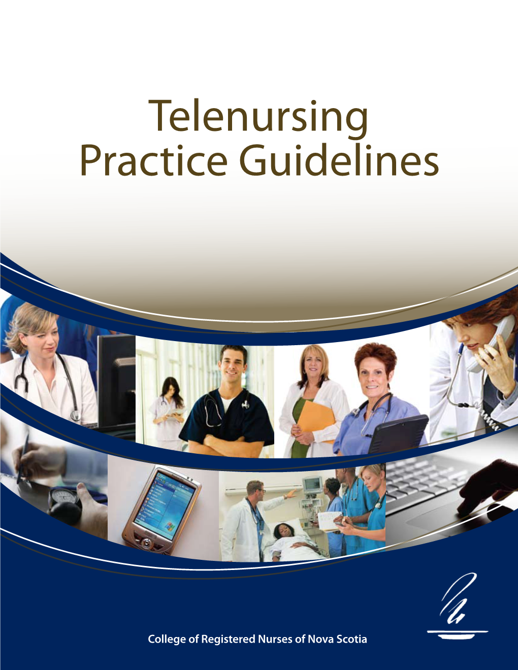 Telenursing Practice Guidelines