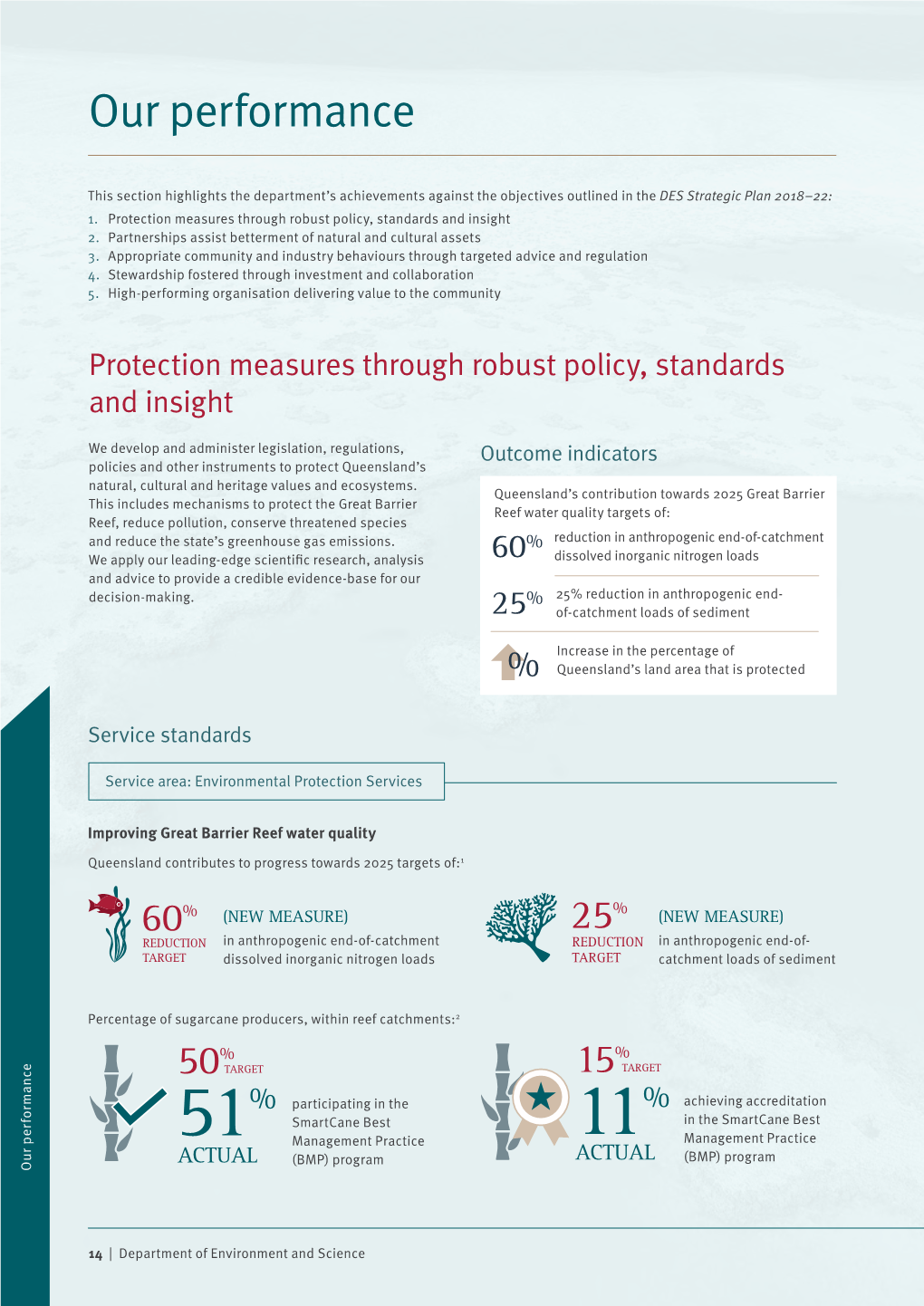 DES Annual Report 2018-19 Our Performance