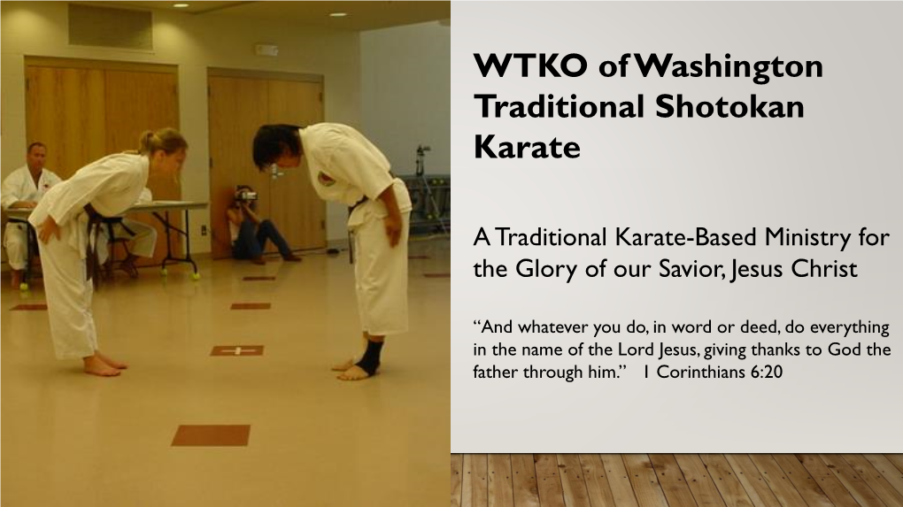 World Traditional Karate Organization (WTKO)