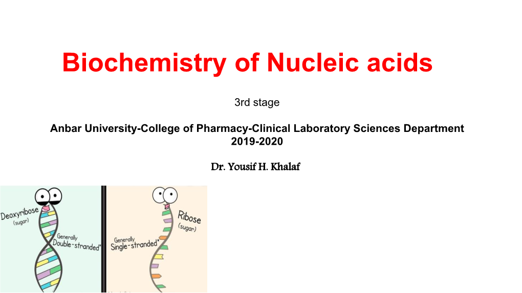 Biochemistry of Nucleic Acids