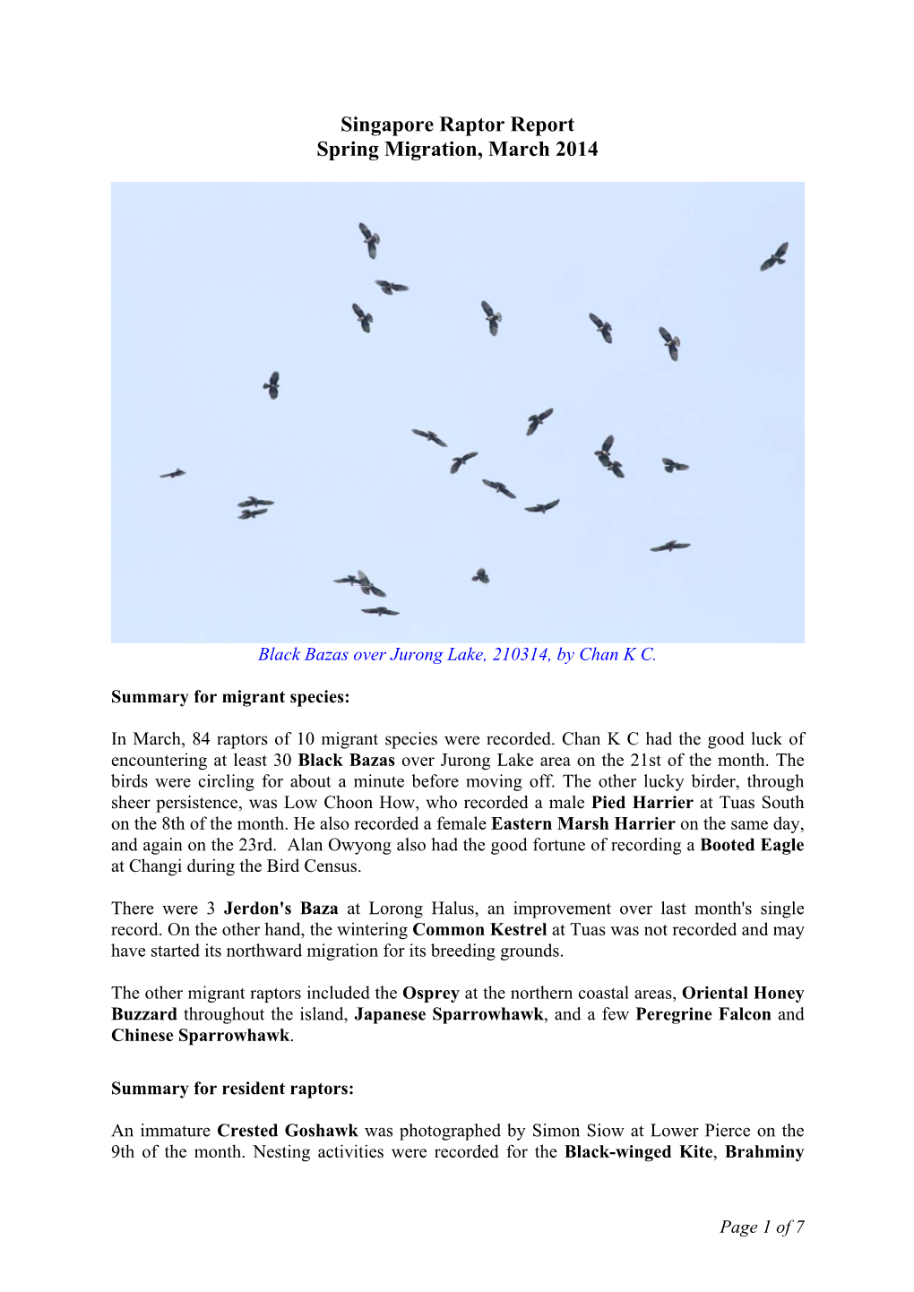 Singapore Raptor Report Spring Migration, March 2014