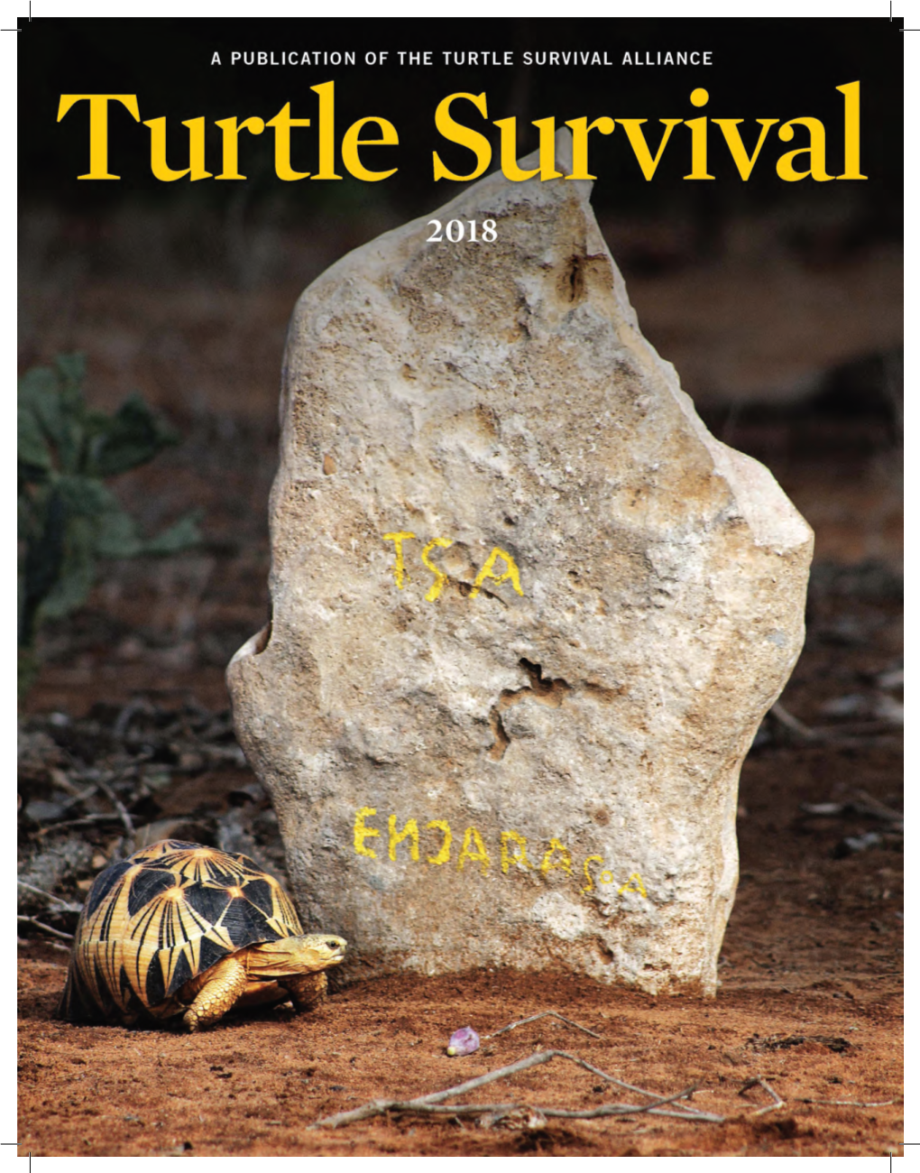 December 2018 • Turtle Survival 34