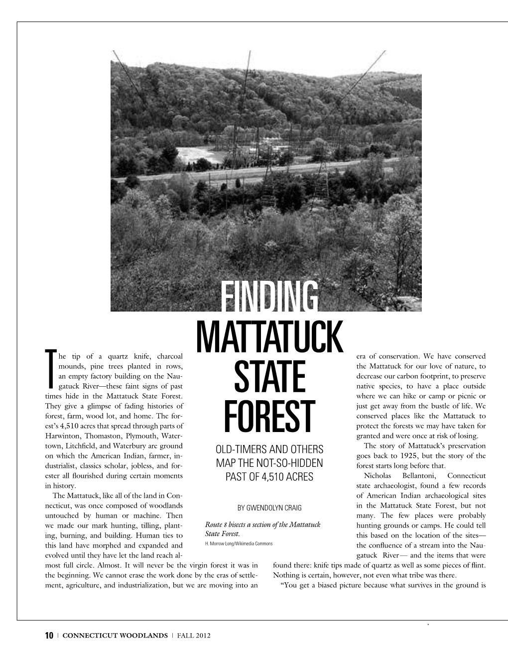 Finding Mattatuck State Forest
